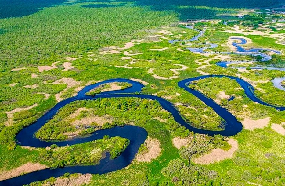 Biarezinski Biosphere Reserve , Minsk Region, Belarus